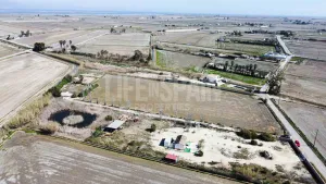 Finca Delta