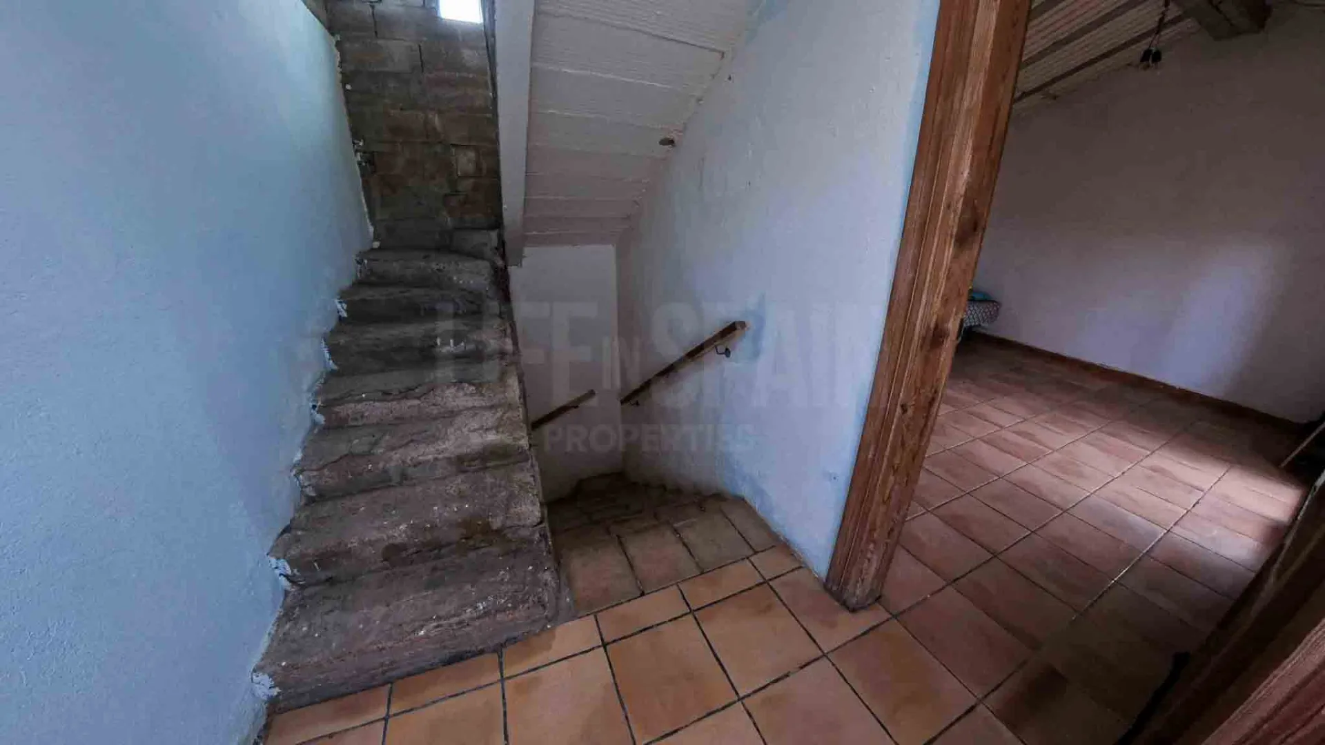 Image 22