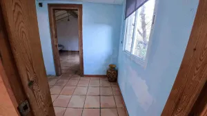 Imagen 28