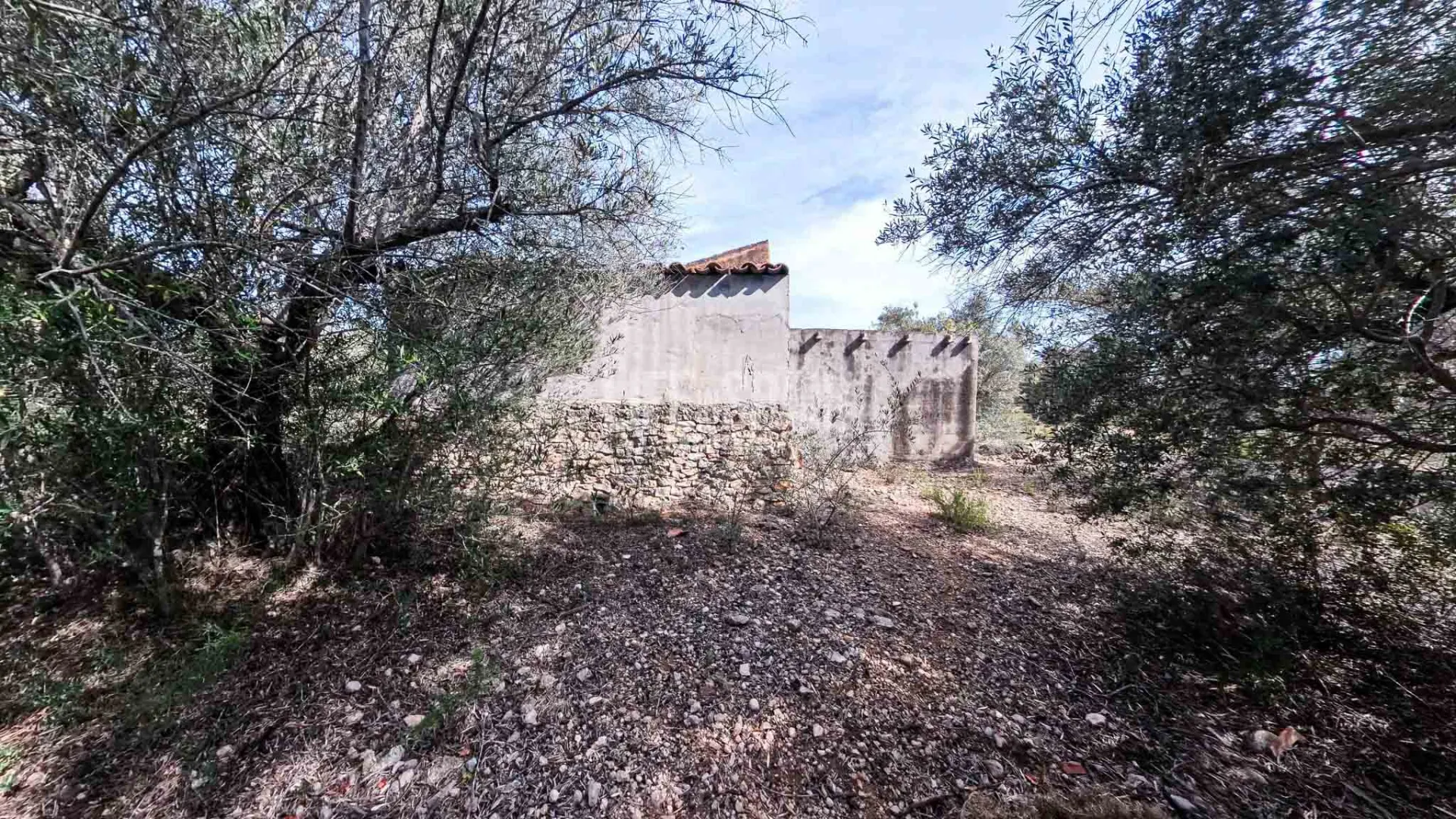 Image 19