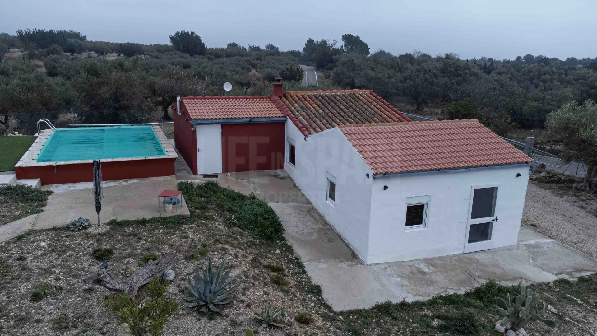 Image 11