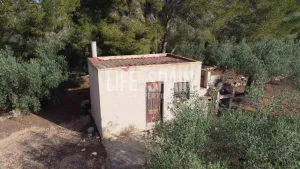 Finca Alba