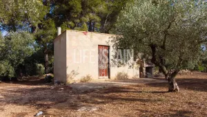Finca Alba