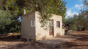 Finca Alba