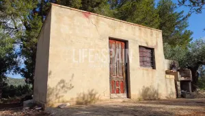 Finca Alba
