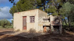 Finca Alba