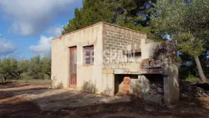 Finca Alba