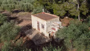 Finca Alba