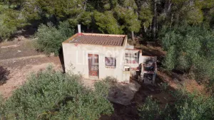 Finca Alba