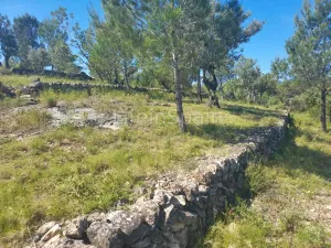 Terreno Xerta