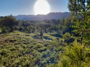 Terreno Xerta