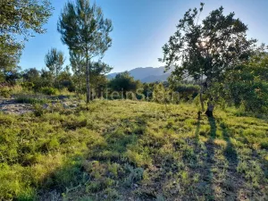 Terreno Xerta