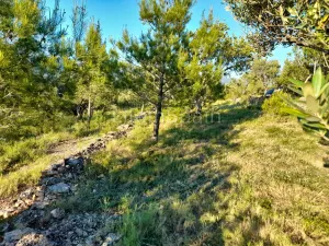 Terreno Xerta