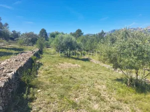Terreno Xerta