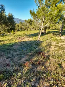 Terreno Xerta