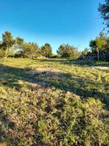 Terreno Xerta