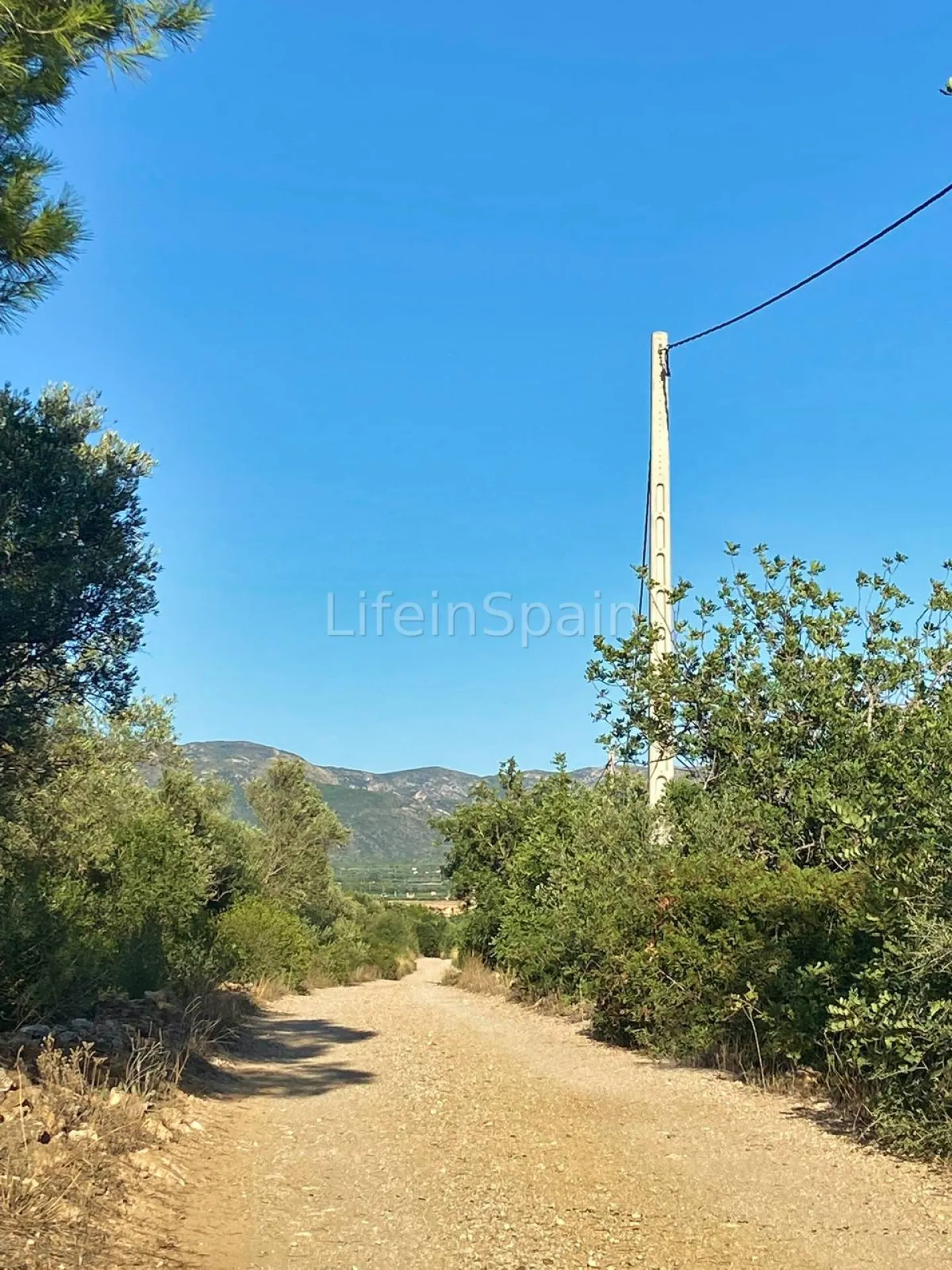 Image 12