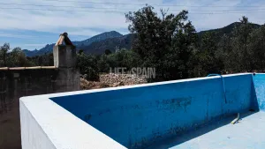 Imagen 22
