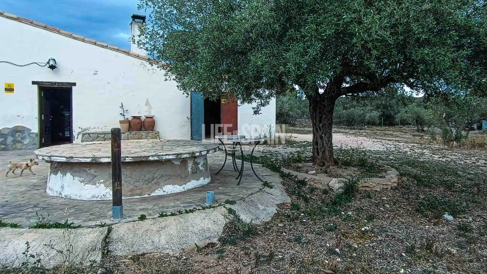Image 4