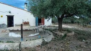 Finca Mas-Roig