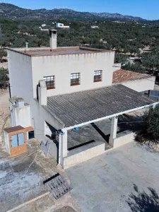 Garrofer