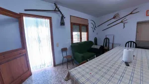 Imagen 11