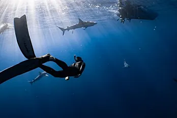 Dive into the Underwater Paradise of l'Ampolla: Unveiling the Treasures of the Mediterranean