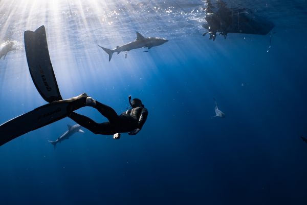 Dive into the Underwater Paradise of l'Ampolla: Unveiling the Treasures of the Mediterranean