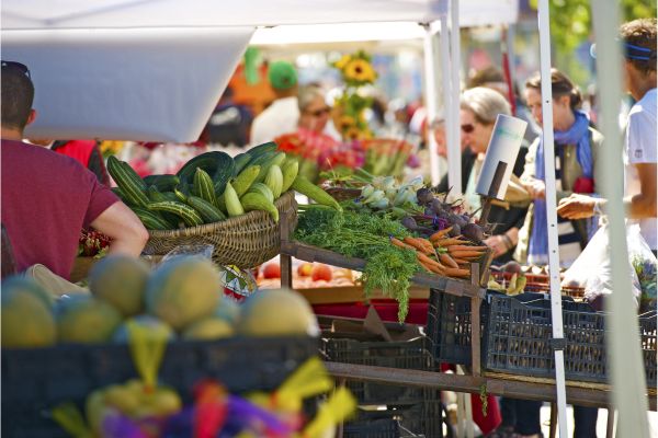 The Advantages of Buying in the Local Market in l'Ampolla: Embrace the Authenticity of Coastal Catalonia