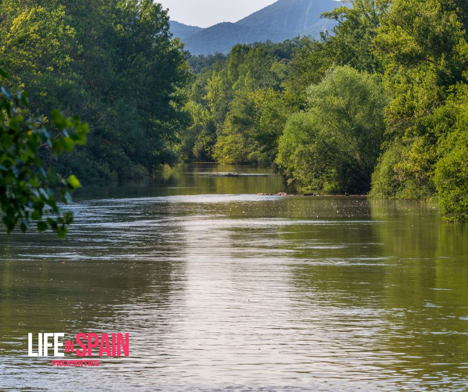Exploring the Ebro River: Activities and Excursions