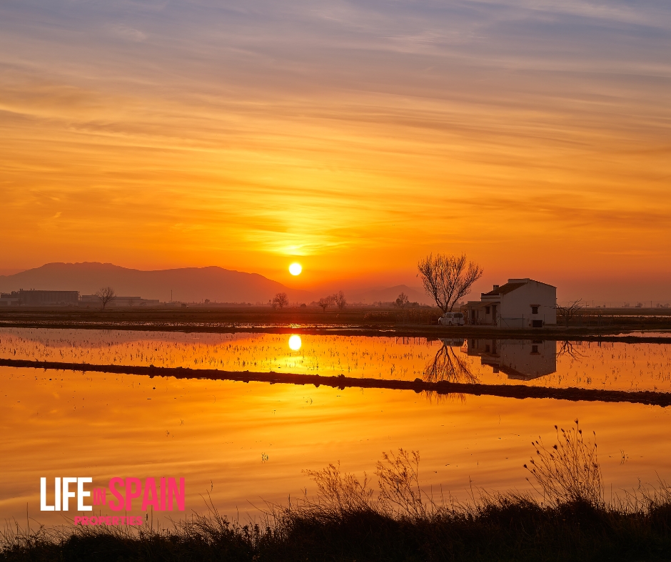 Descubre las Maravillas Naturales de la Costa Dorada: El Parque Natural del Delta del Ebro