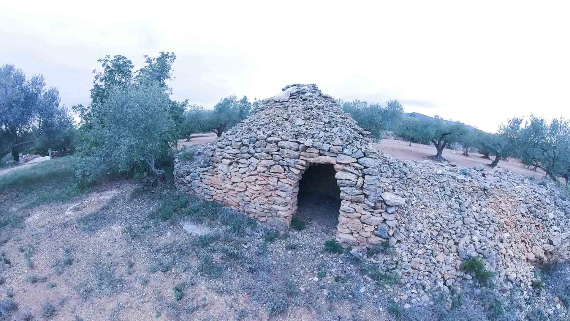 Image 20