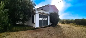 Imagen 47