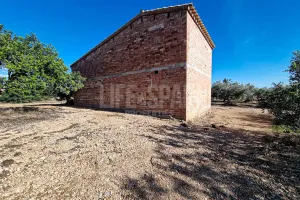 Imagen 9