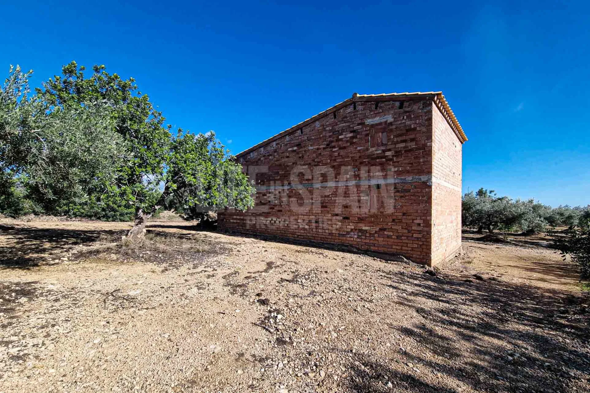 Image 10