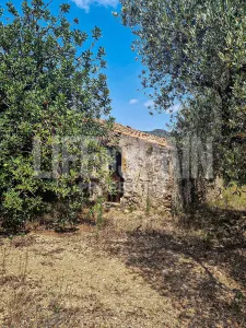 Finca Caramella