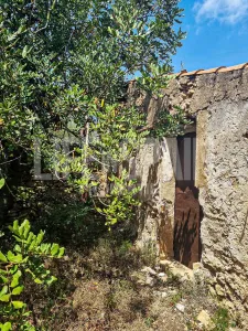 Finca Caramella
