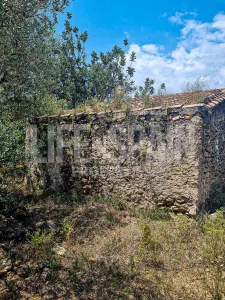 Finca Caramella