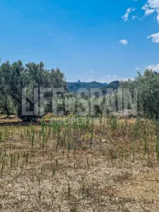 Finca Caramella