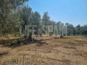 Finca Caramella