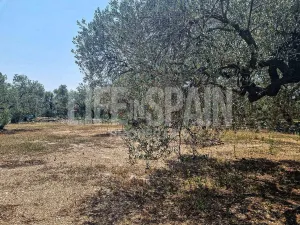 Finca Caramella