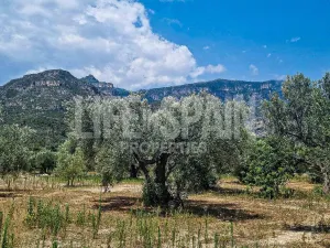 Finca Caramella