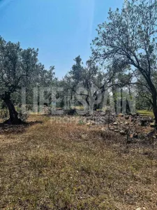 Finca Caramella