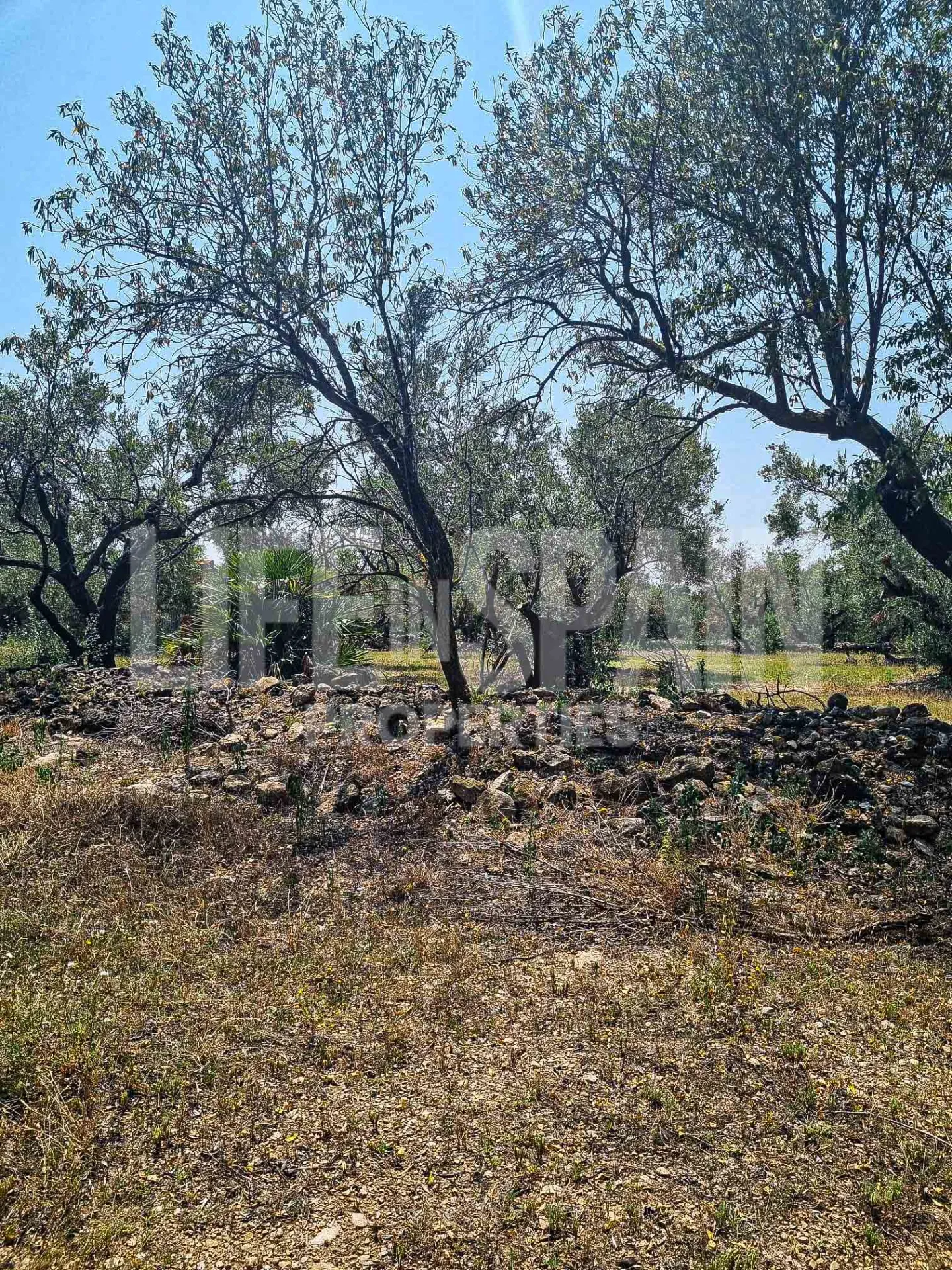 Image 14