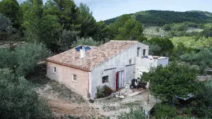 Finca Dorada