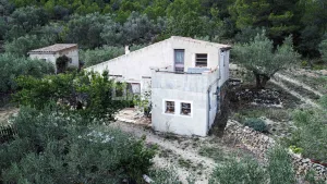 Finca Dorada