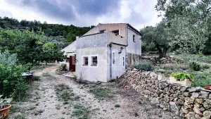 Finca Dorada