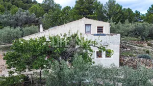 Finca Dorada