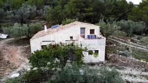 Finca Dorada