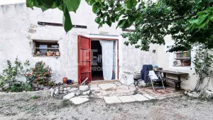 Finca Dorada